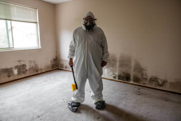 Best Industrial Mold Remediation  in Smithton, IL